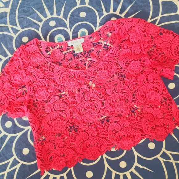 Tops - Dizzy Lizzy Hot Pink Lace Crop Top